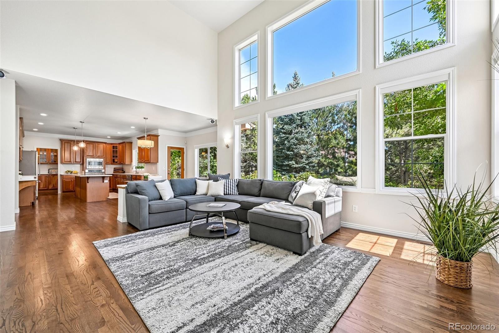 MLS #REC5102375 image #2