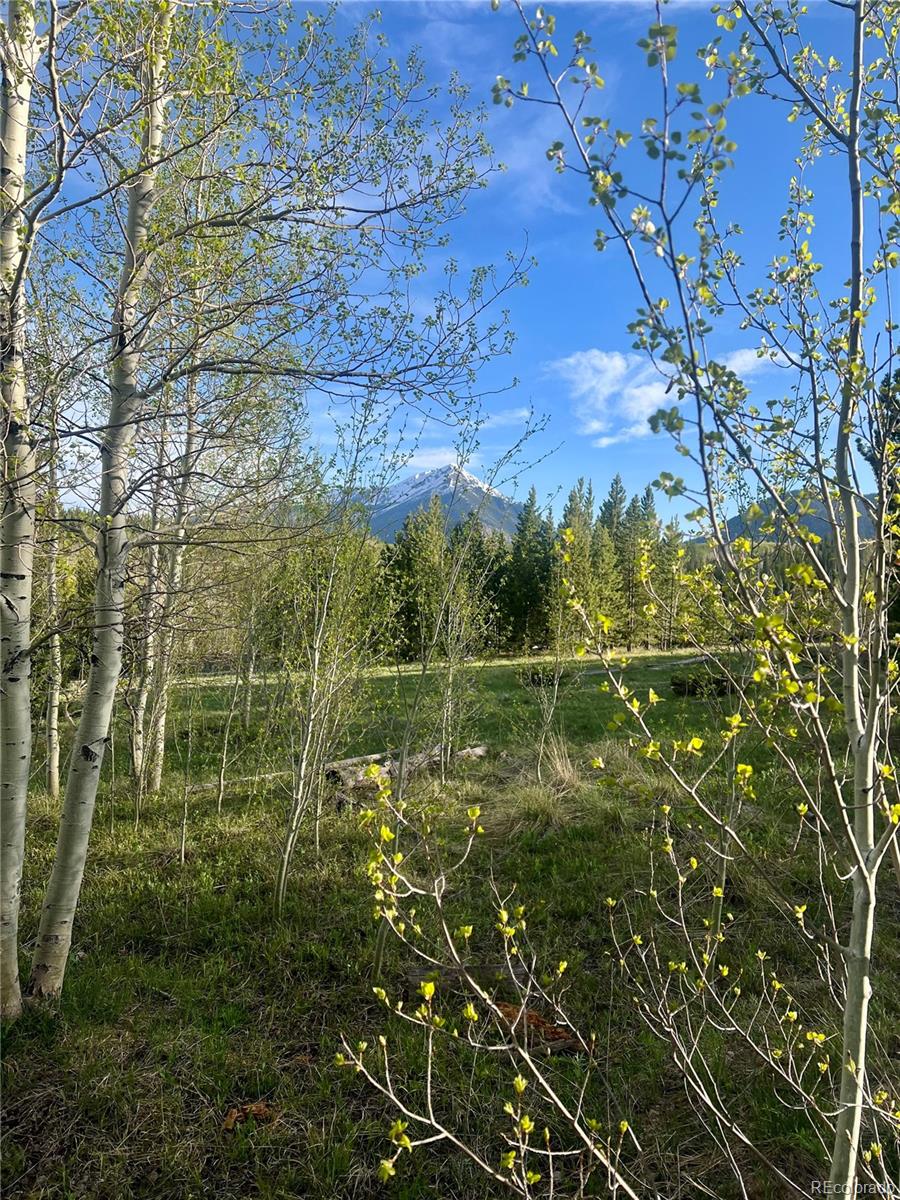 MLS #REC5425726 image #35