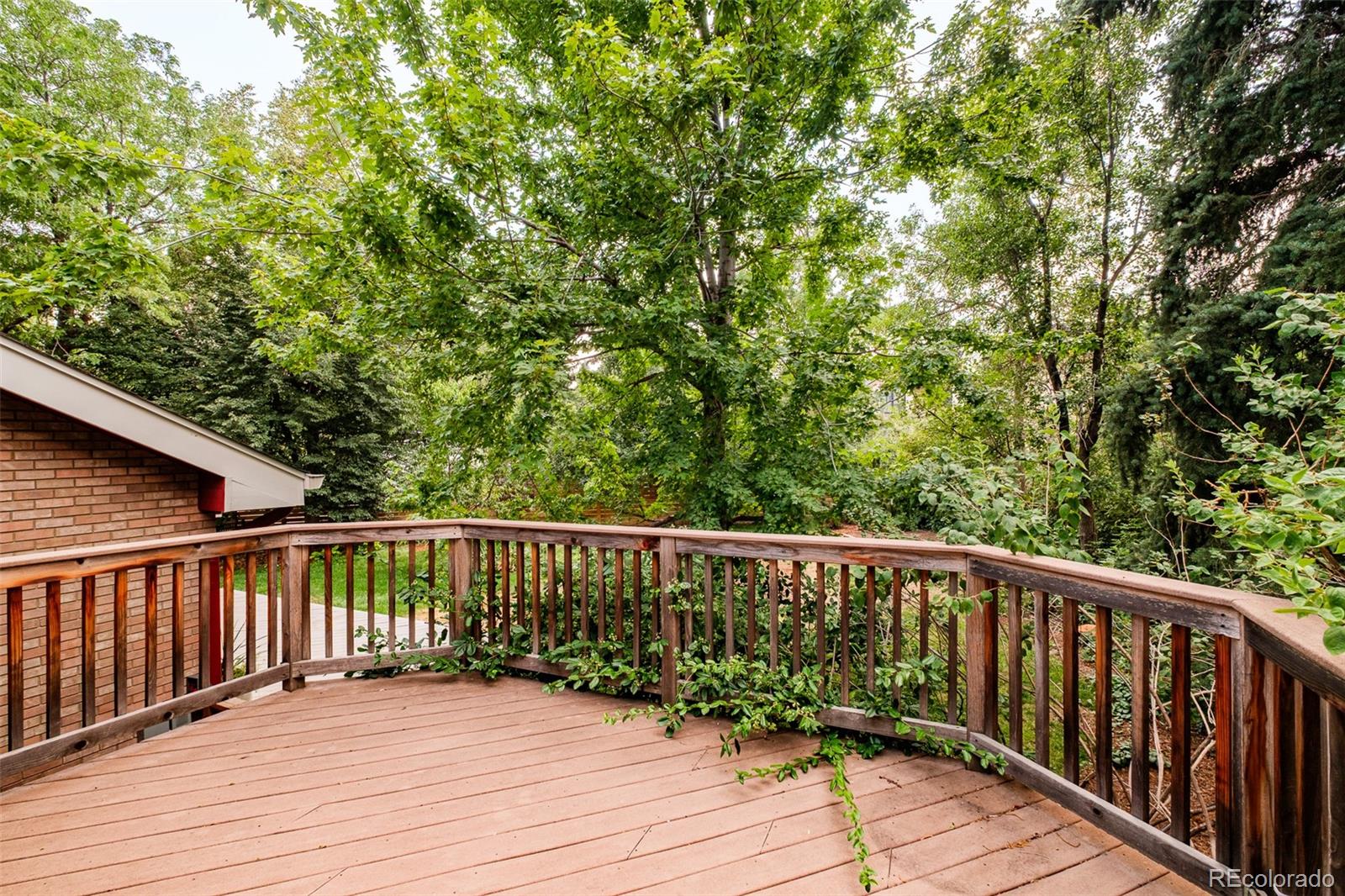 MLS #REC5574135 image #34