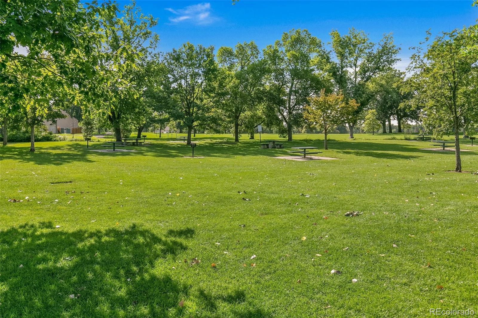 MLS #REC5603068 image #37