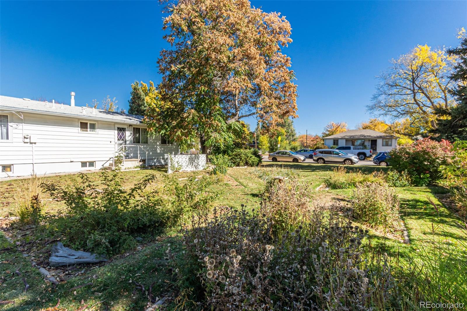 MLS #REC5910650 image #4