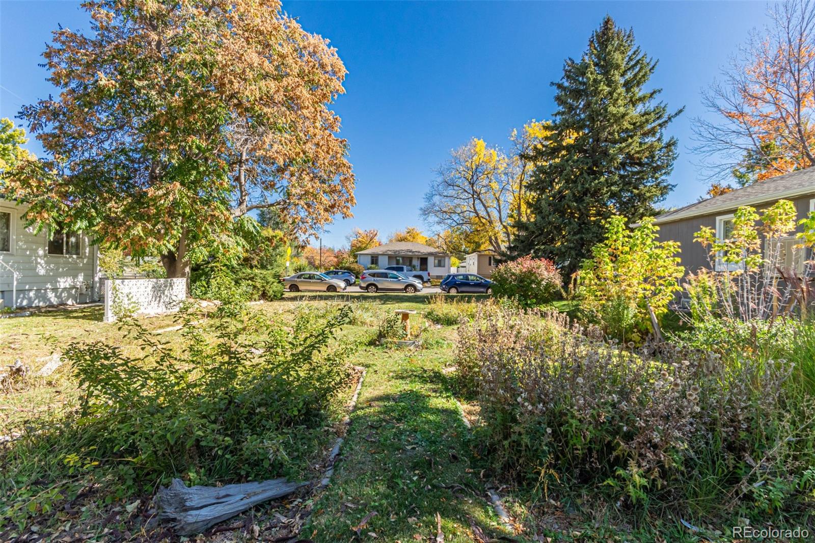 MLS #REC5910650 image #5