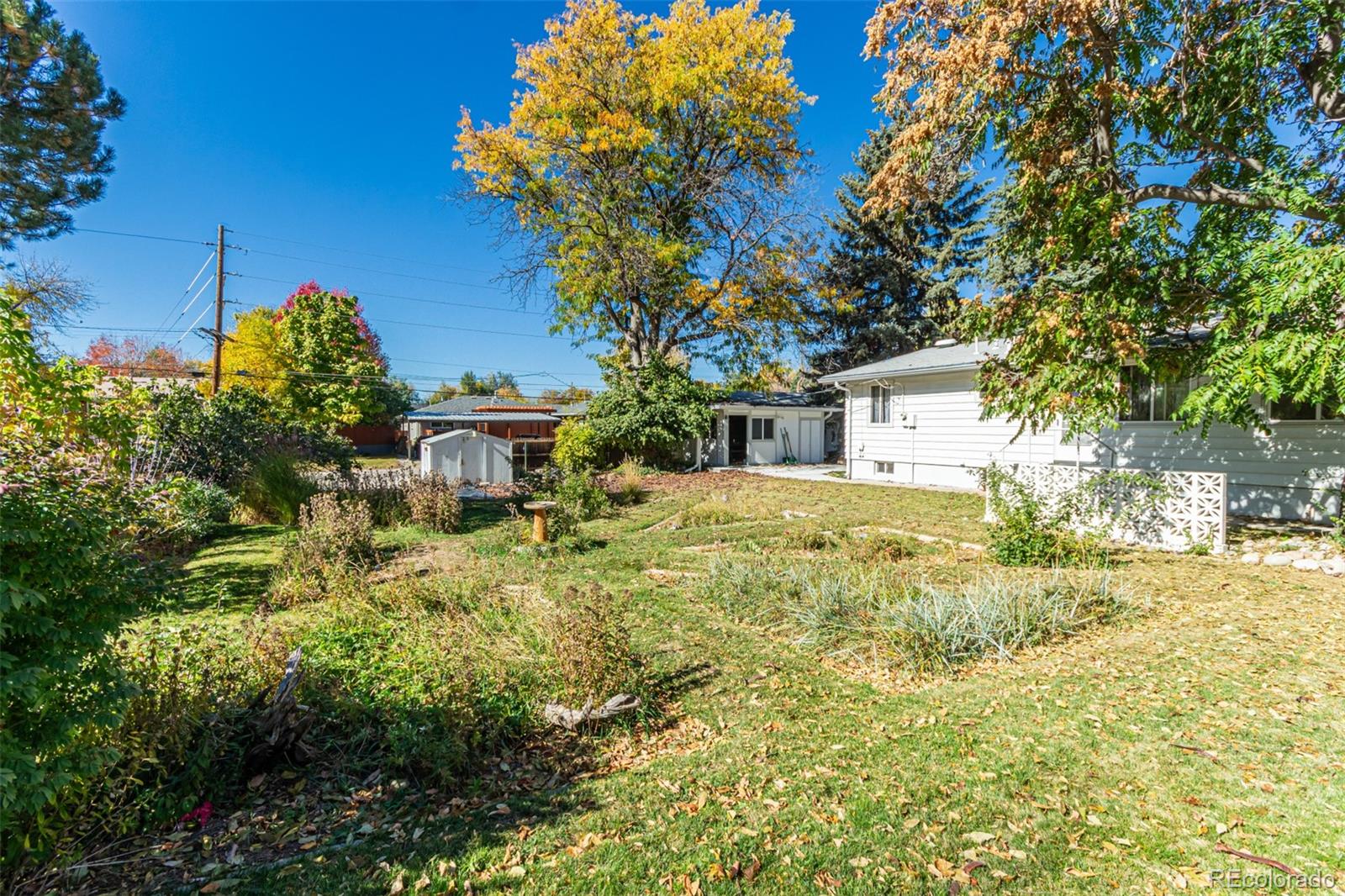 MLS #REC5910650 image #8