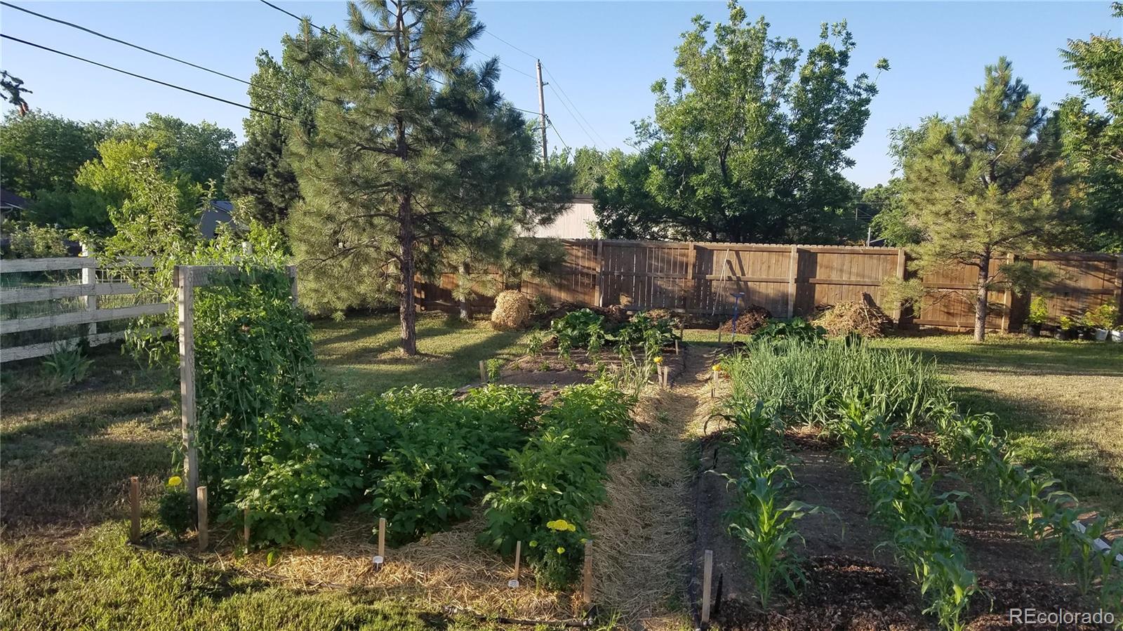 MLS #REC6356225 image #45