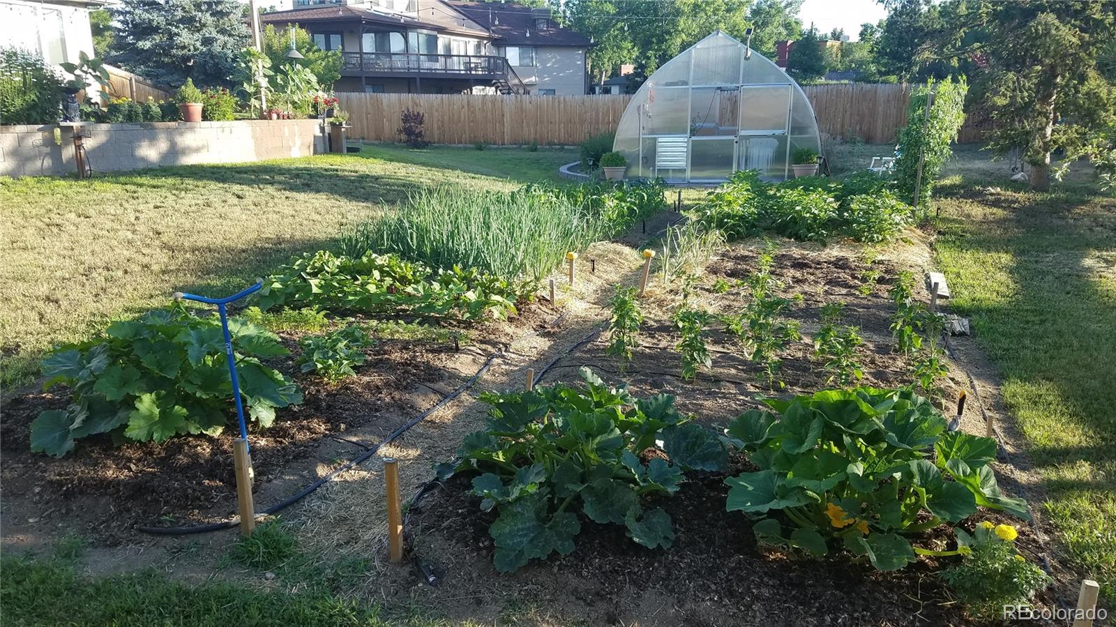 MLS #REC6356225 image #46