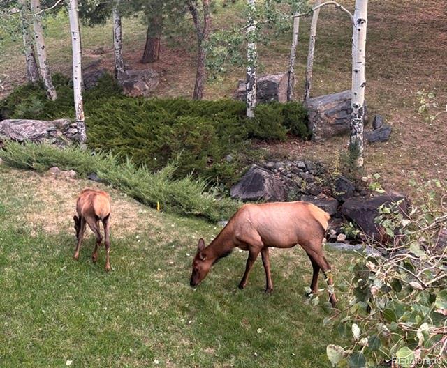 MLS #REC6378803 image #45