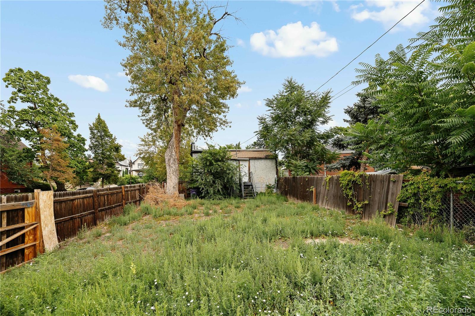 MLS #REC6379248 image #5