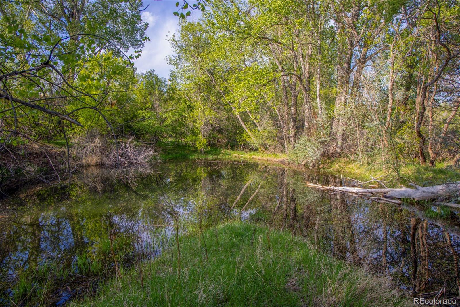 MLS #REC6657098 image #30