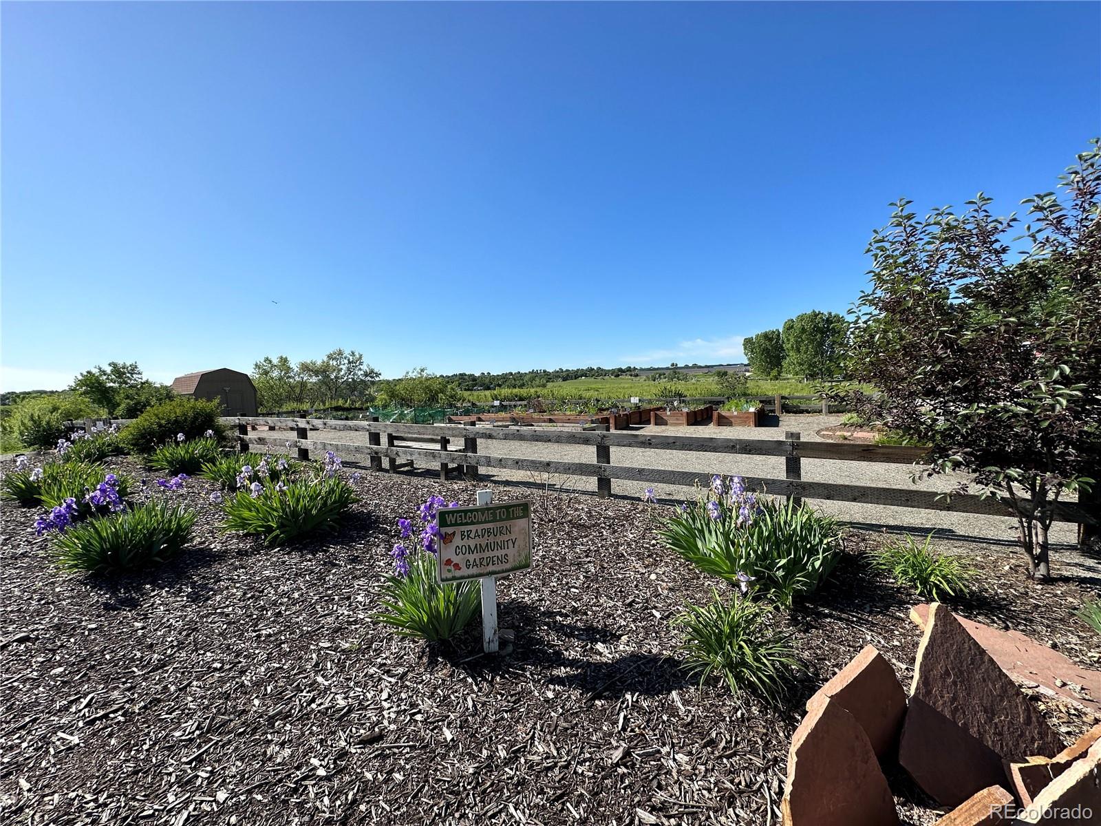 MLS #REC7457954 image #36