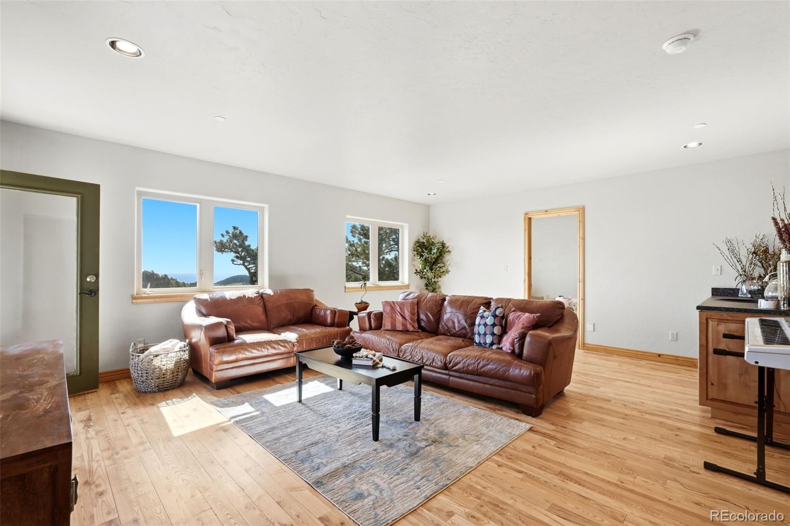 MLS #REC7479093 image #30