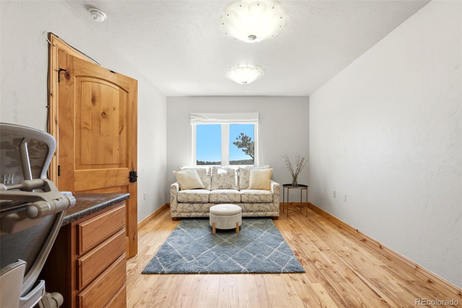 MLS #REC7479093 image #39