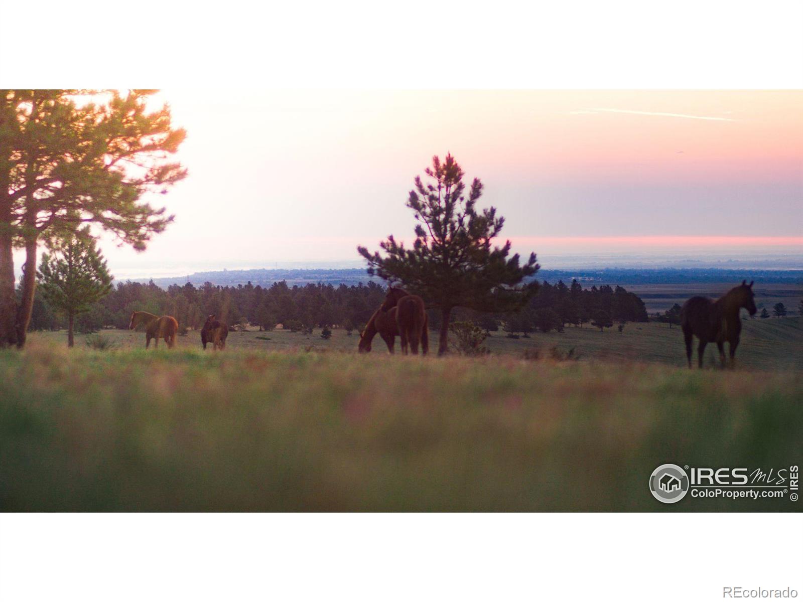 MLS #RECIR1041496 image #17