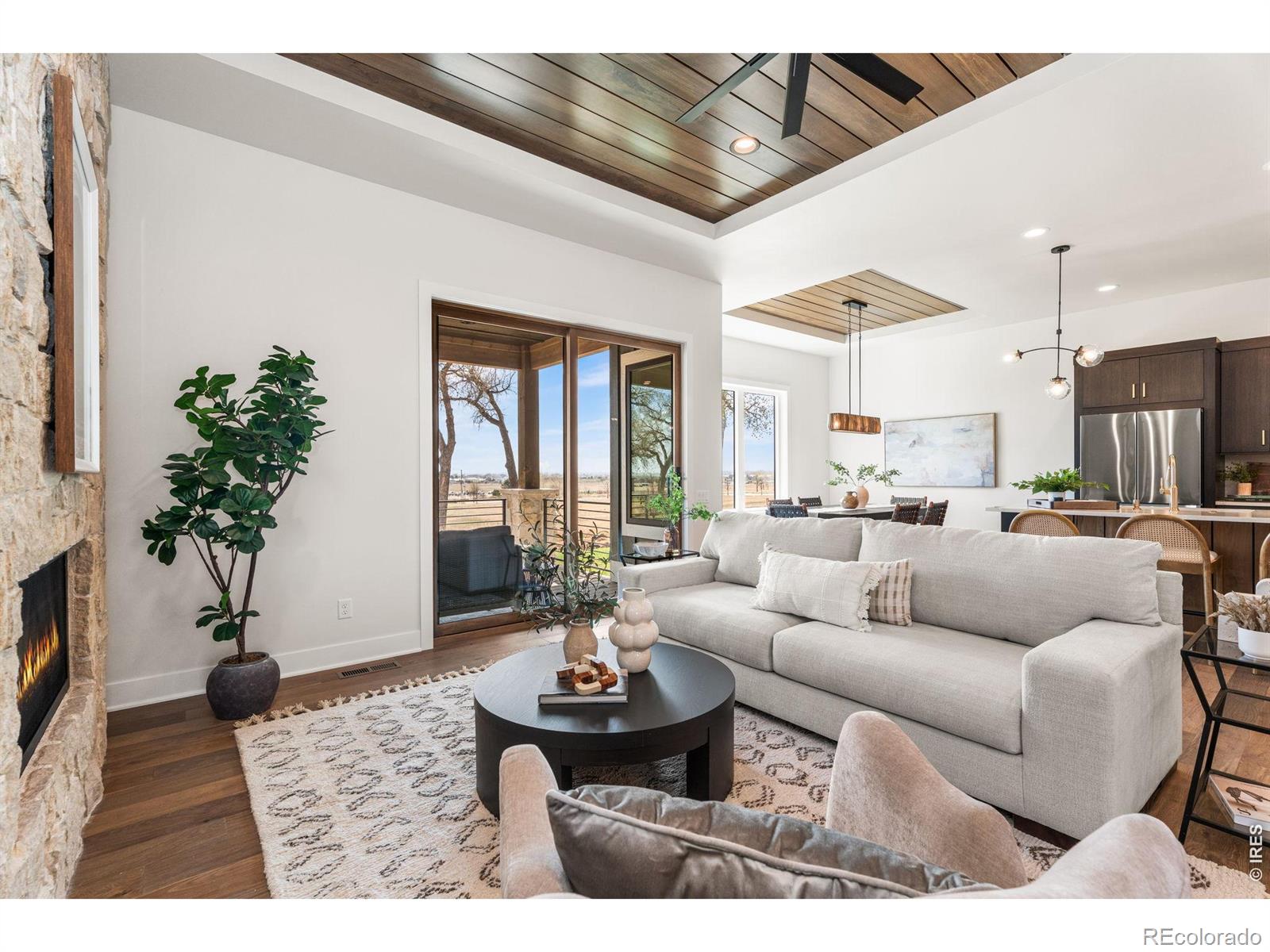 MLS #RECIR1042234 image #2