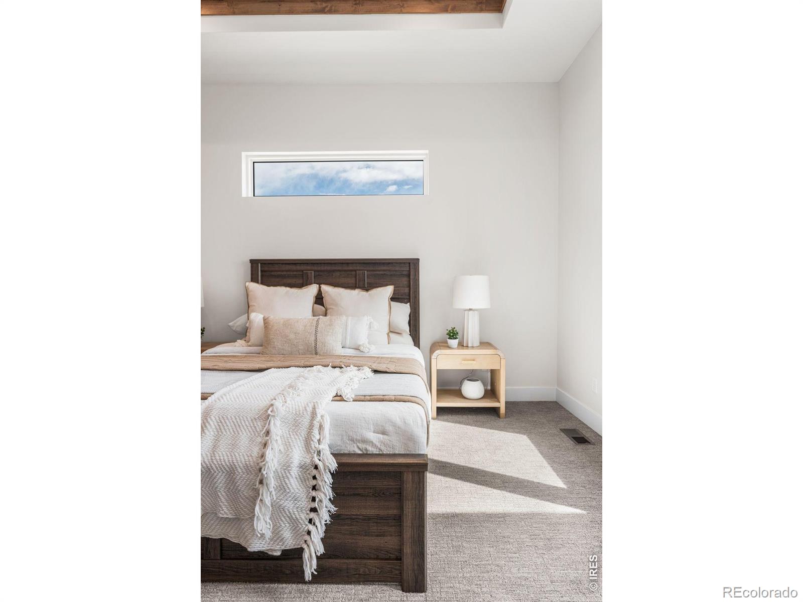 MLS #RECIR1042234 image #34