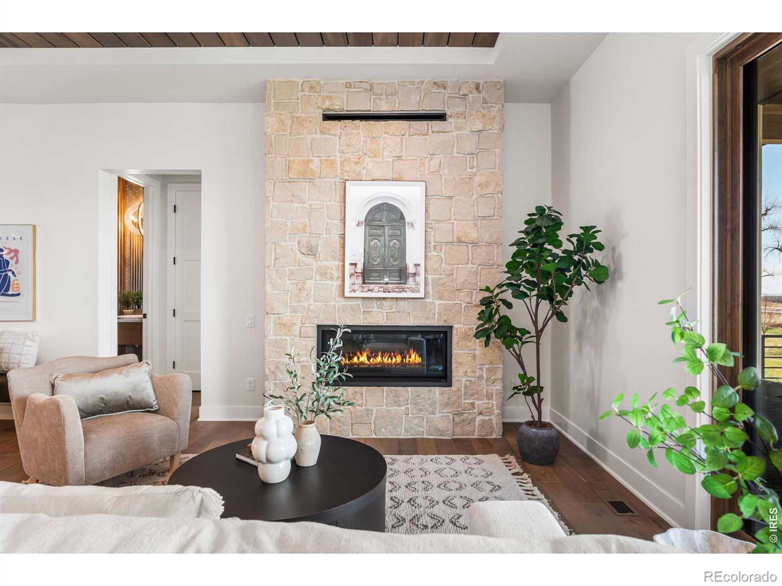 MLS #RECIR1042234 image #9