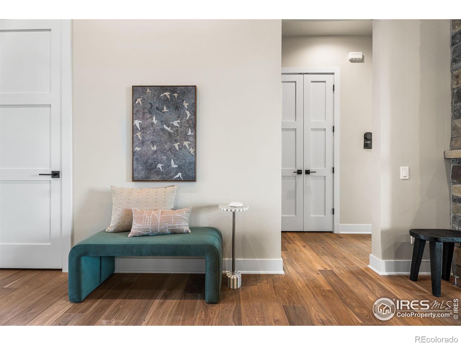 MLS #RECIR1042236 image #13
