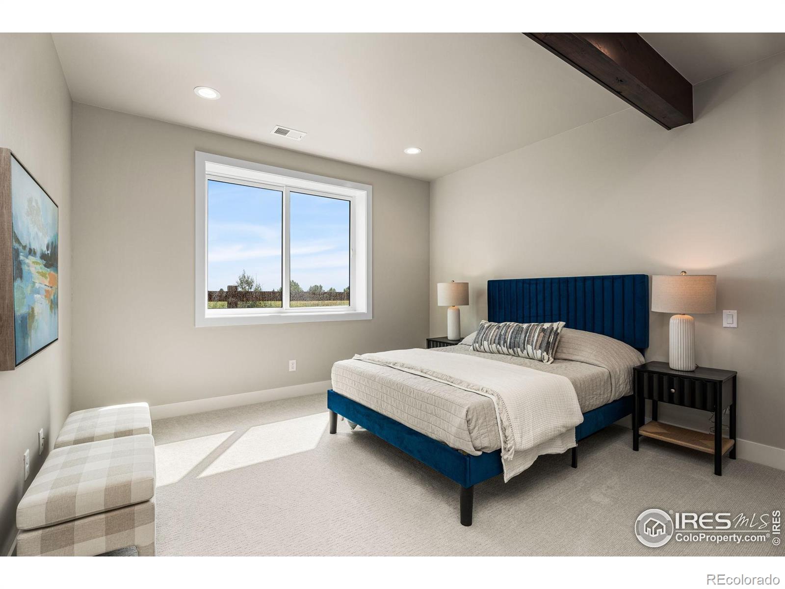MLS #RECIR1042236 image #25