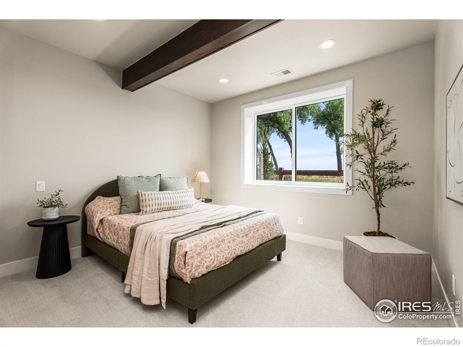 MLS #RECIR1042236 image #29