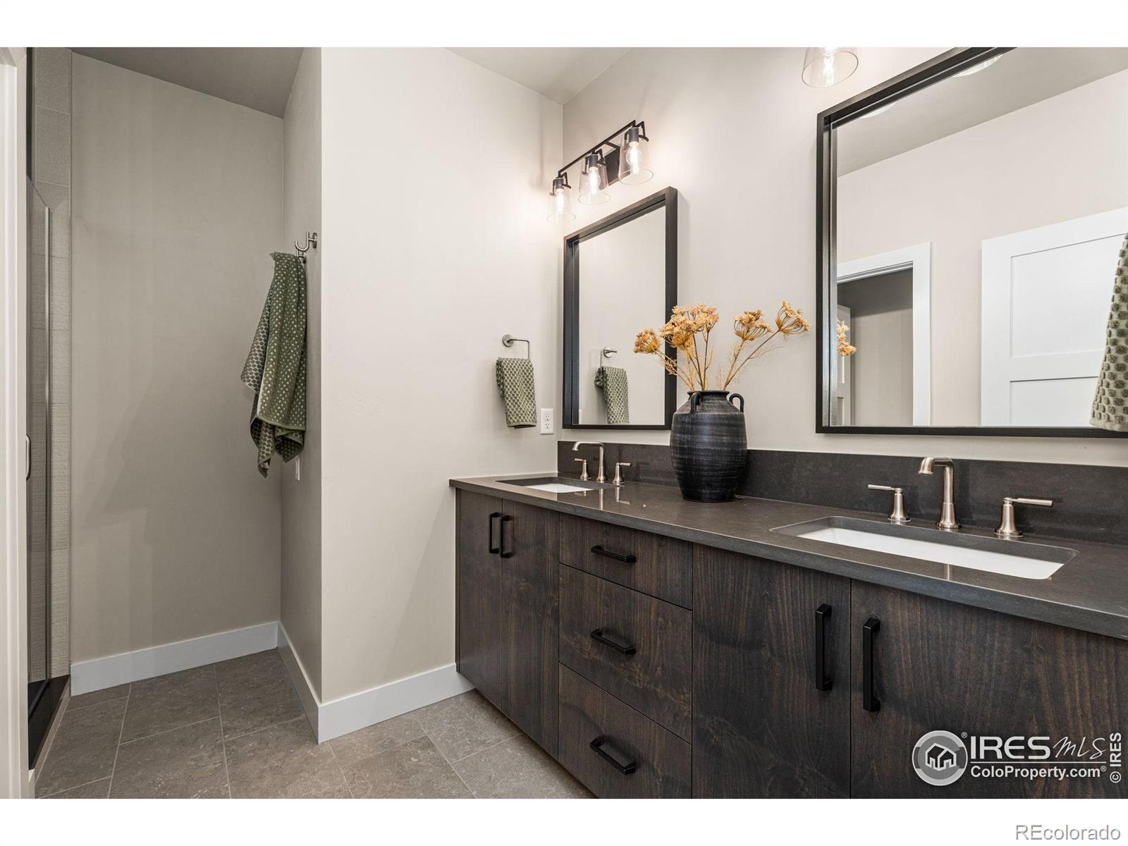 MLS #RECIR1042236 image #30