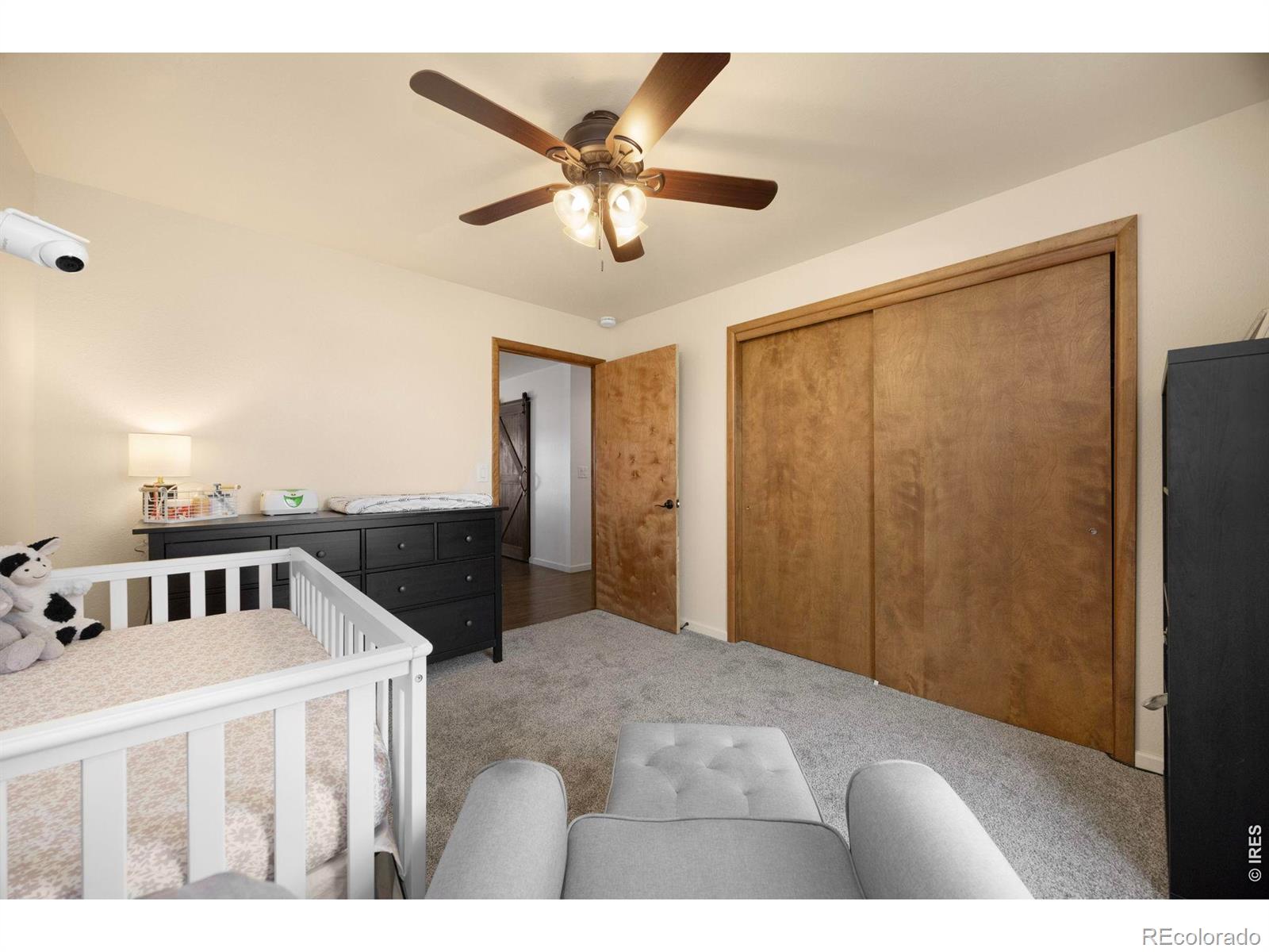 MLS #RECIR1051177 image #22