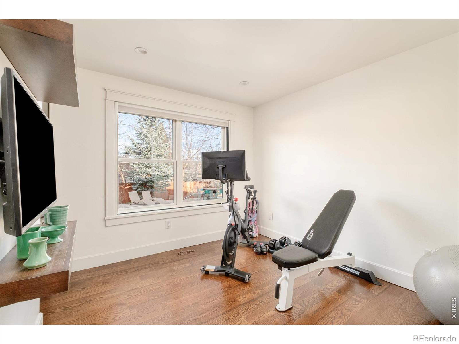 MLS #RECIR1053622 image #23