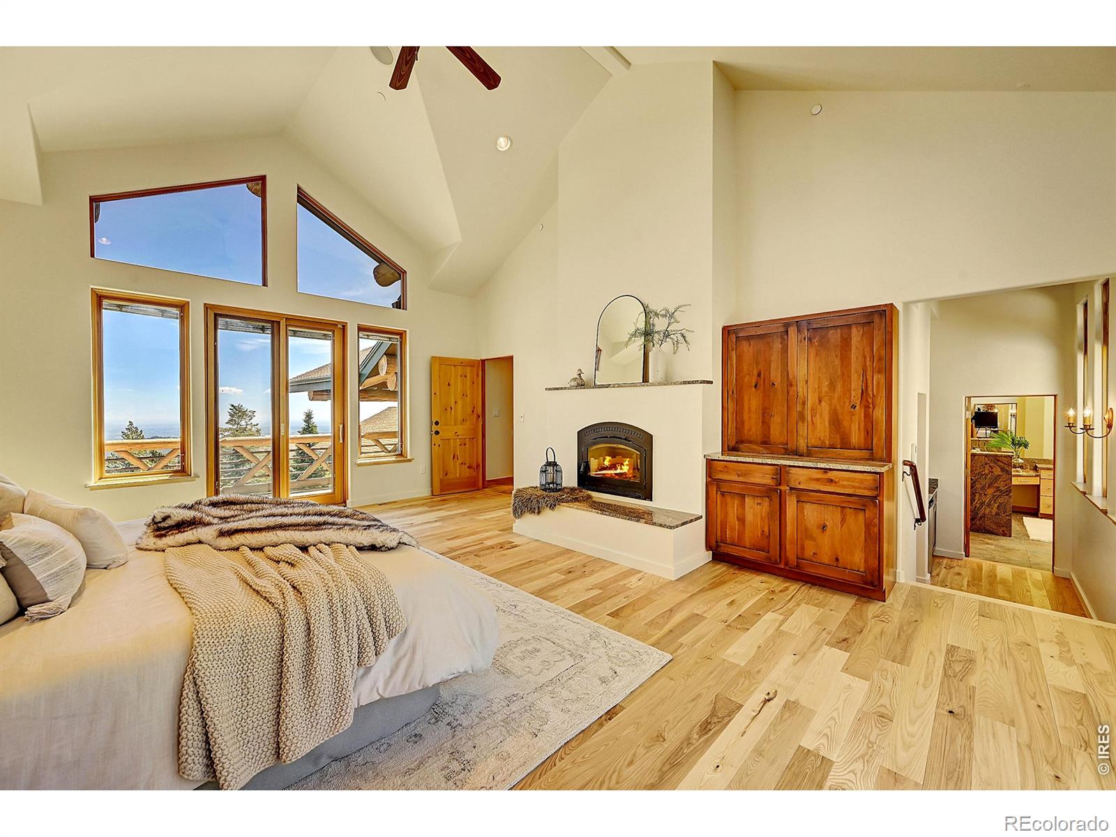 MLS #RECIR1053732 image #14
