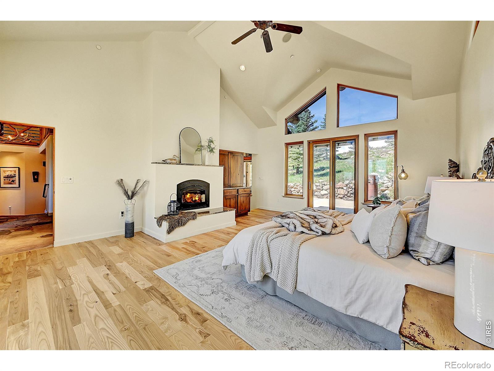 MLS #RECIR1053732 image #15
