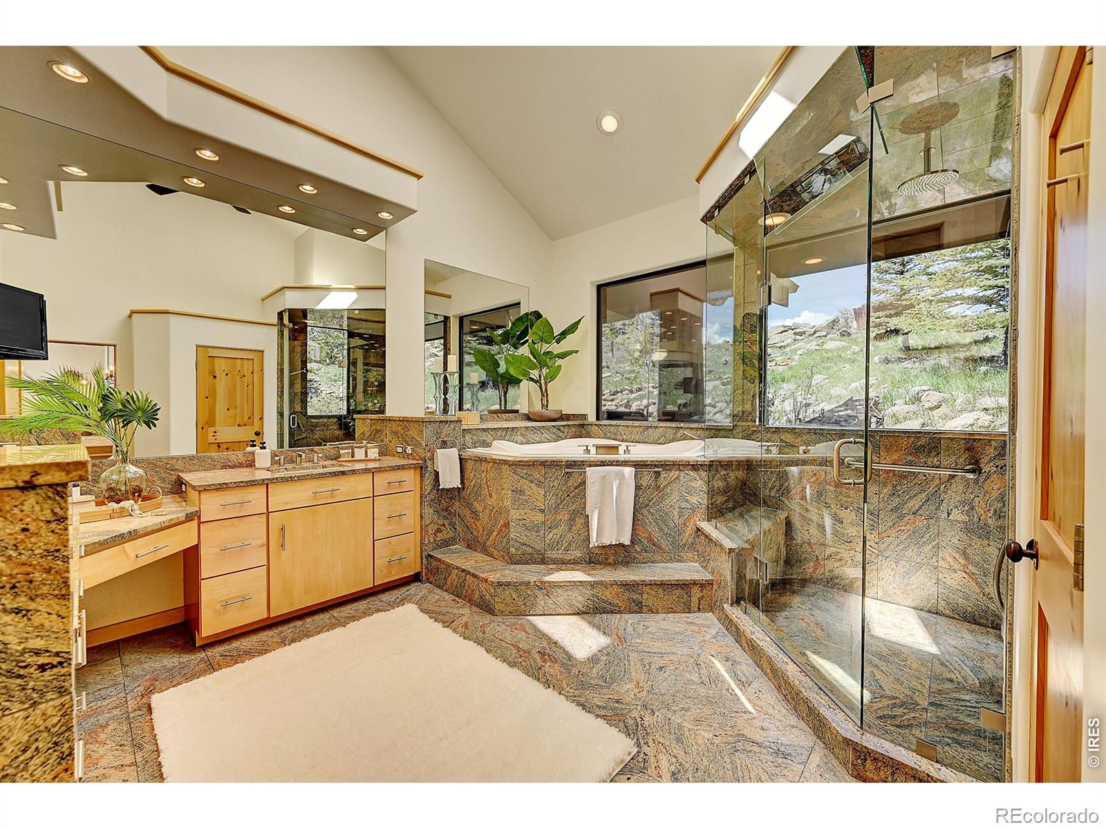 MLS #RECIR1053732 image #17
