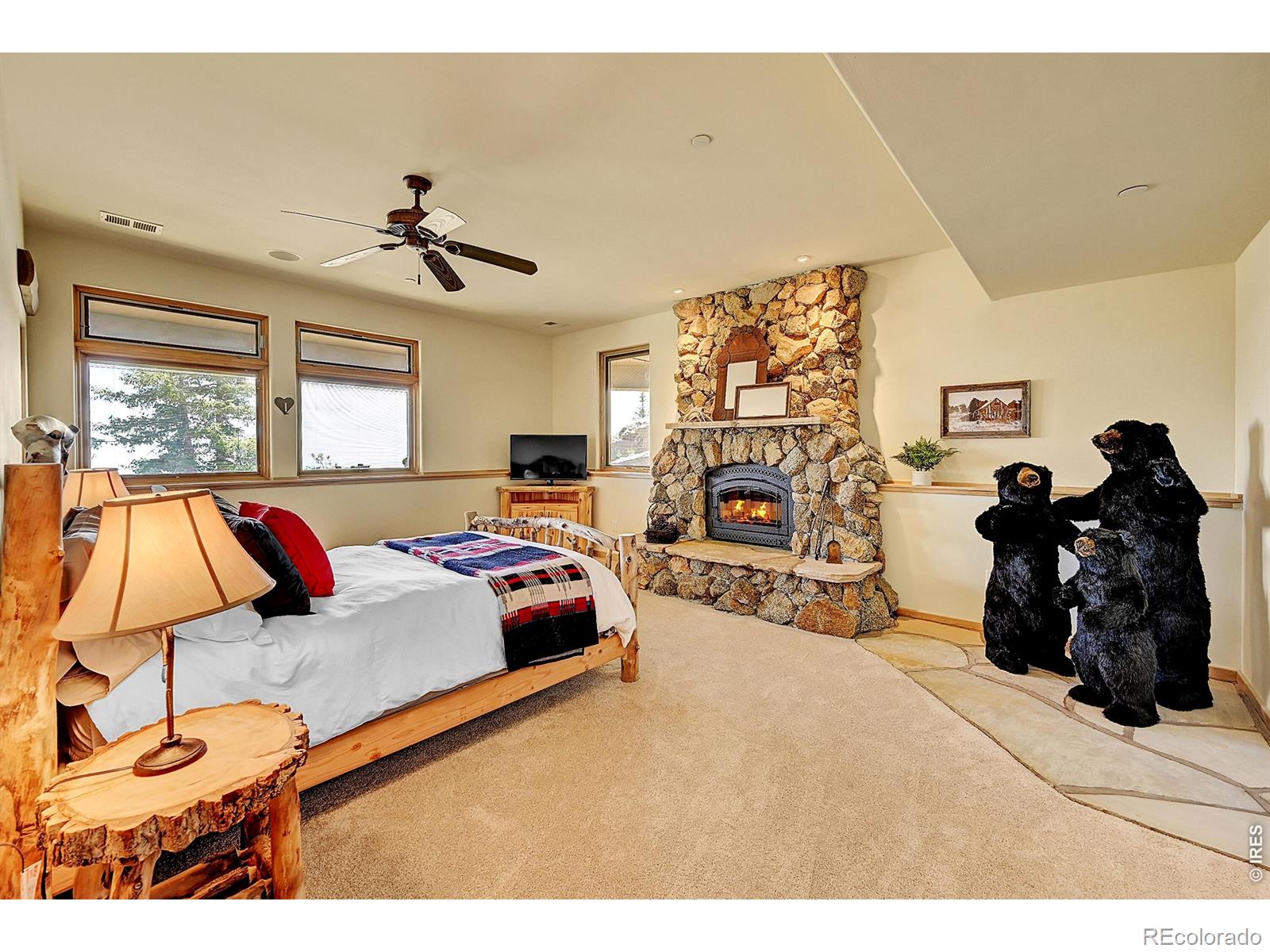 MLS #RECIR1053732 image #23