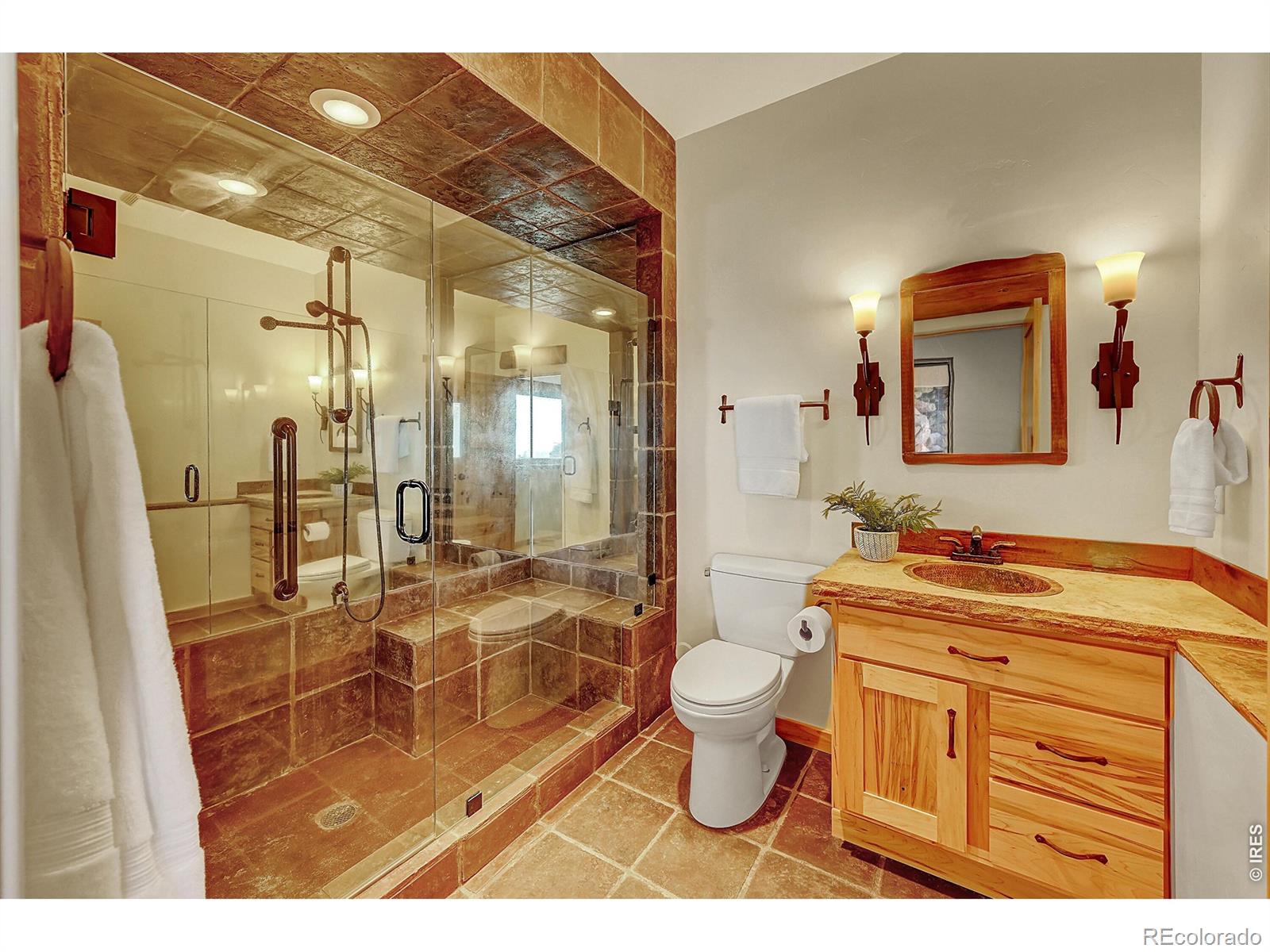 MLS #RECIR1053732 image #24