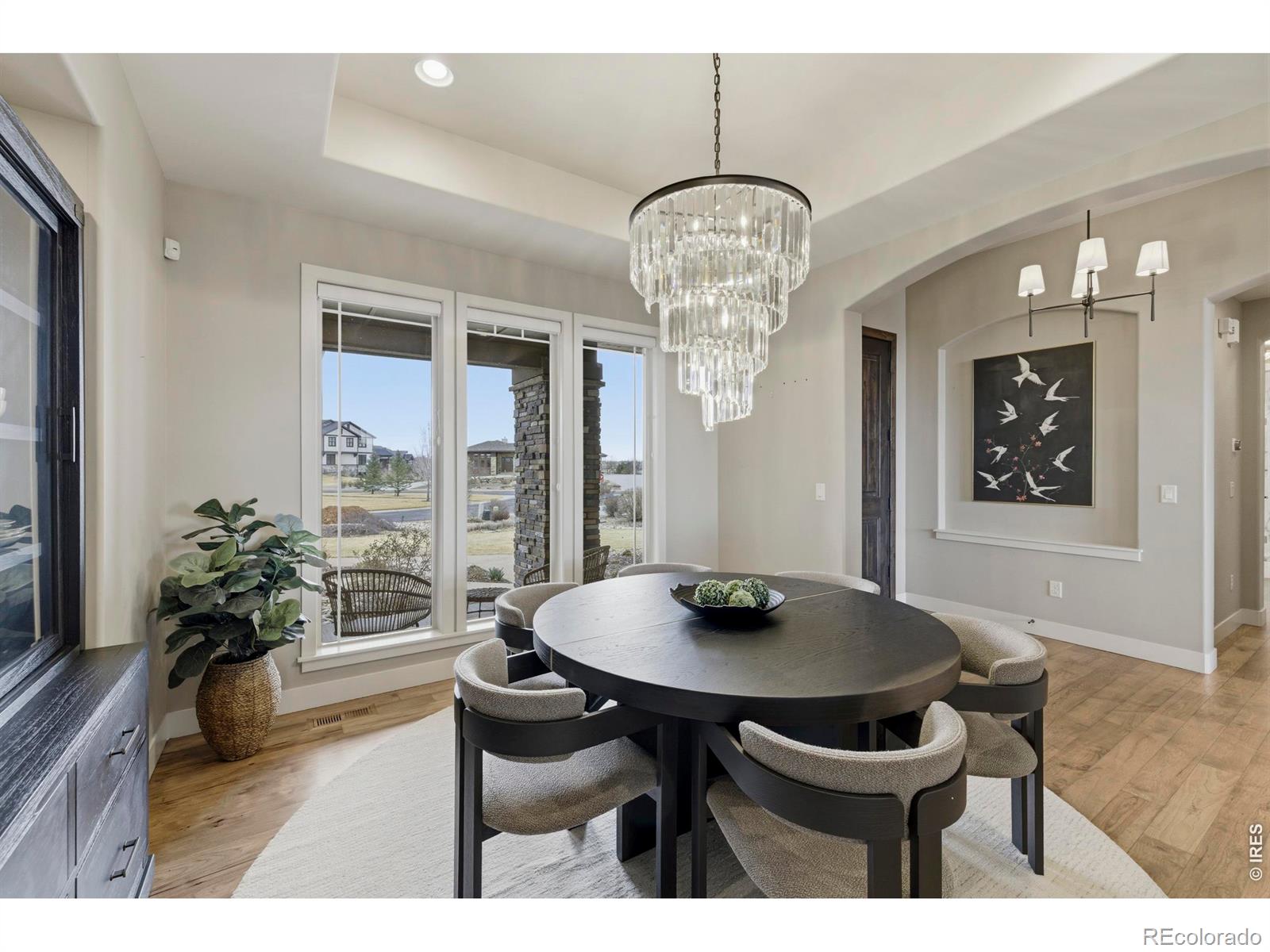 MLS #RECIR1054279 image #20