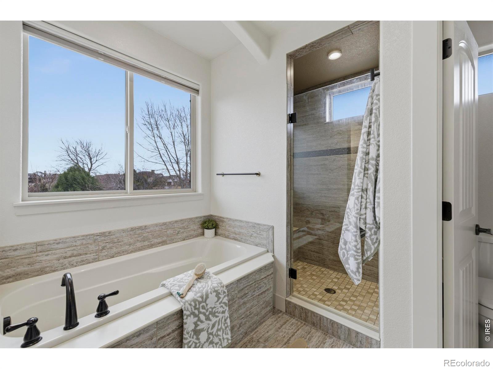 MLS #RECIR1054279 image #26