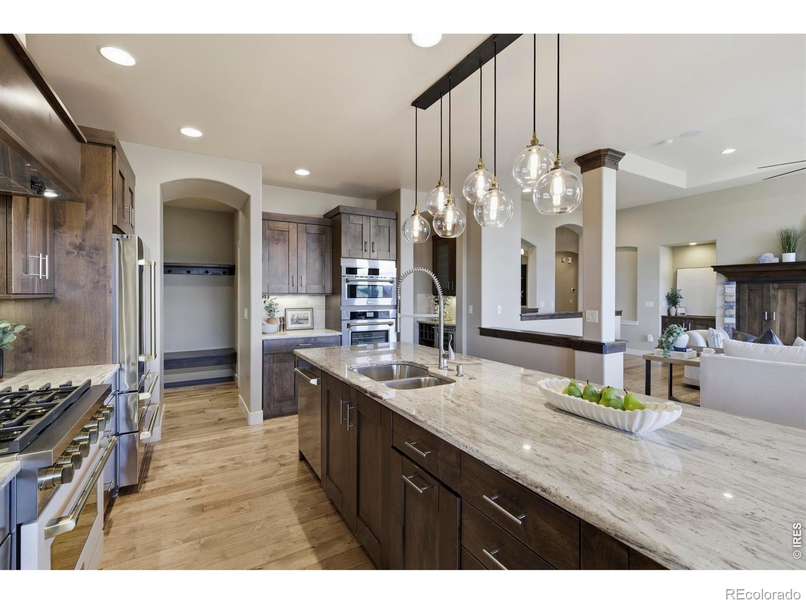 MLS #RECIR1054279 image #33