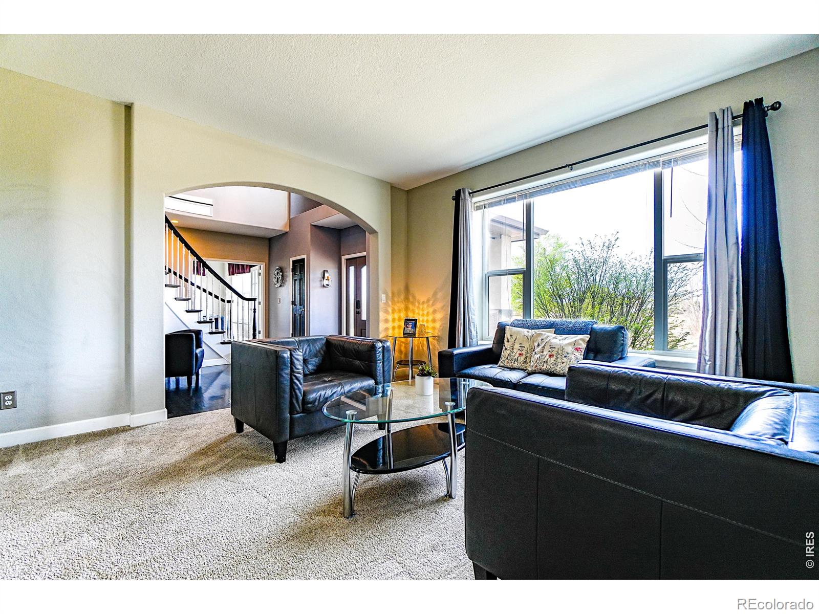 MLS #RECIR1055353 image #14