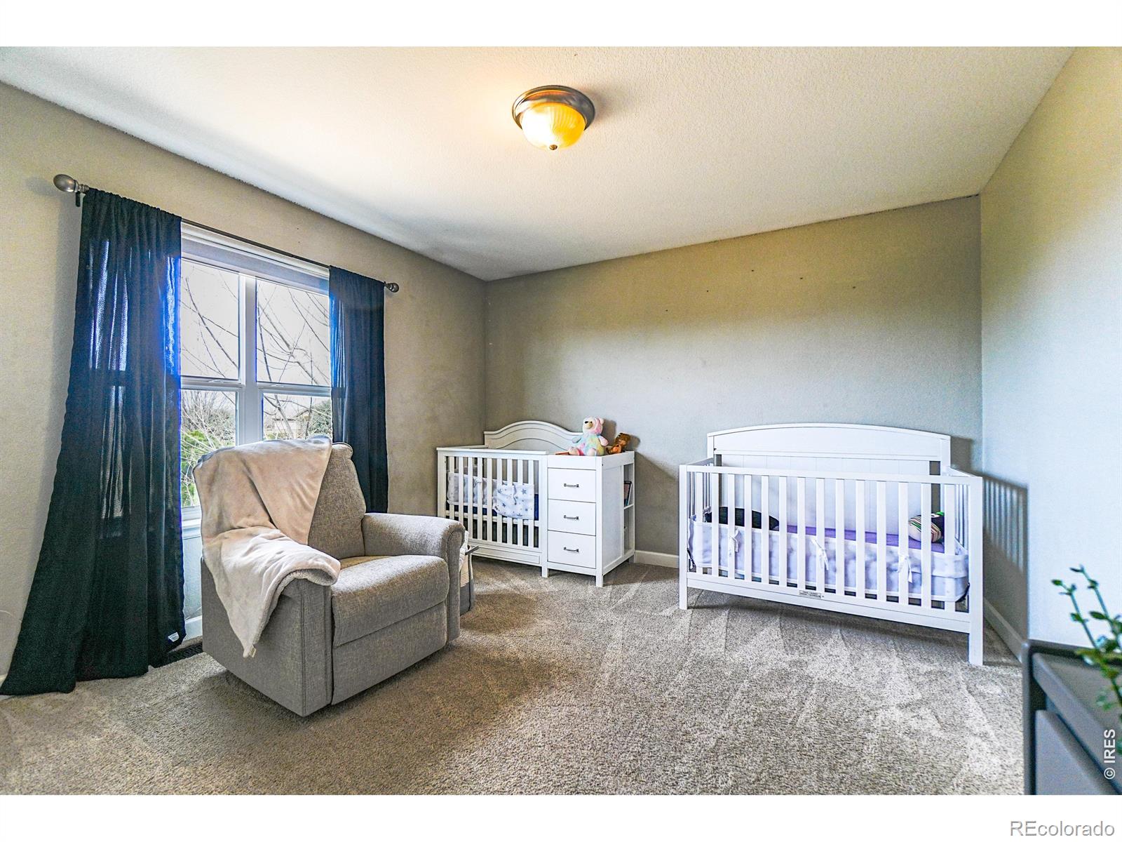 MLS #RECIR1055353 image #25