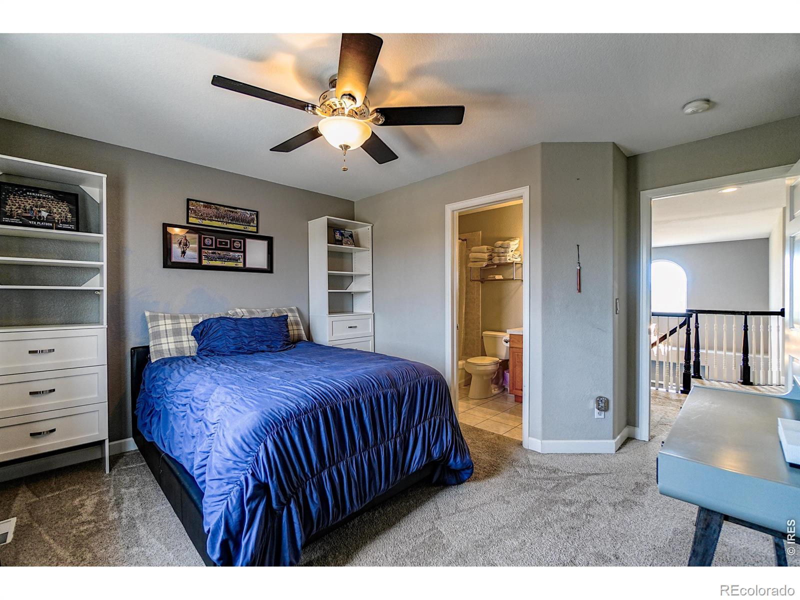 MLS #RECIR1055353 image #29