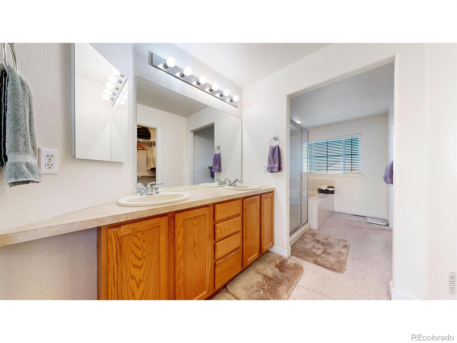 MLS #RECIR1055759 image #13