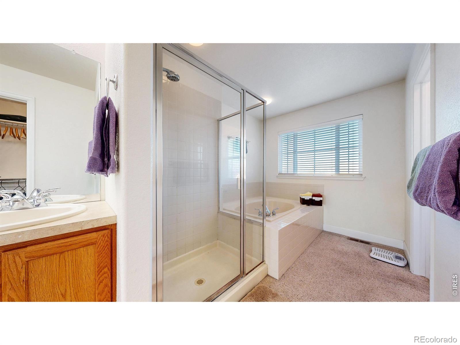 MLS #RECIR1055759 image #14