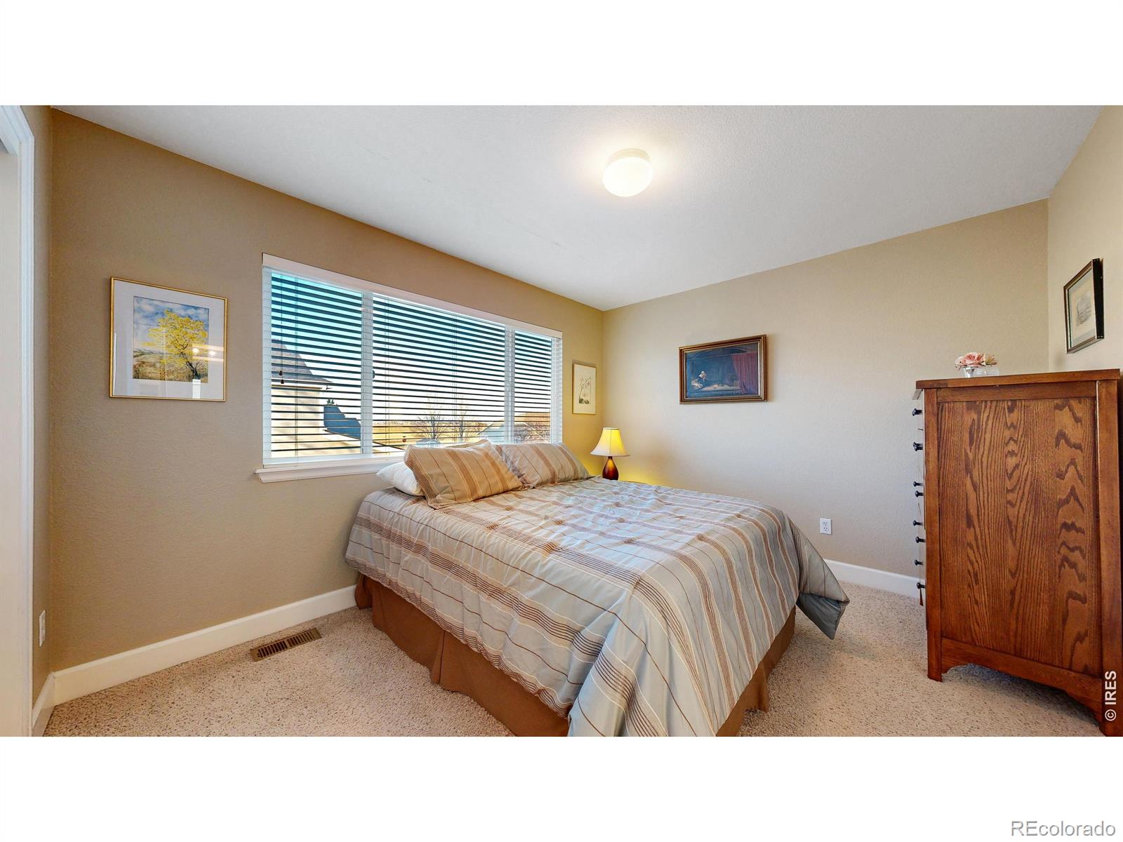 MLS #RECIR1055759 image #18