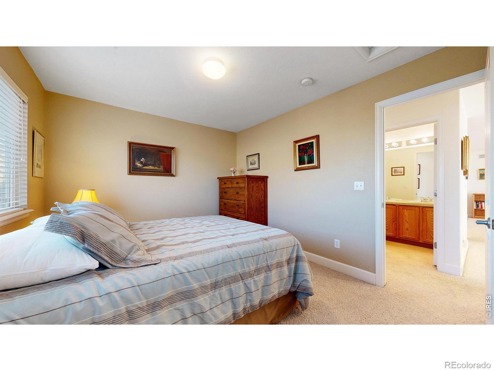 MLS #RECIR1055759 image #19