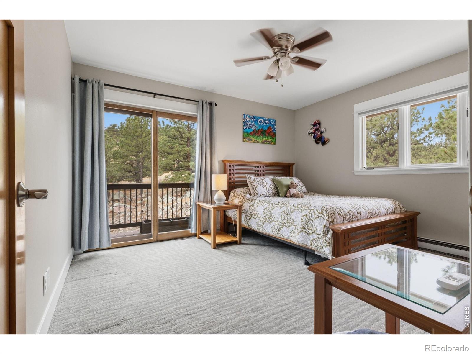 MLS #RECIR1055778 image #11