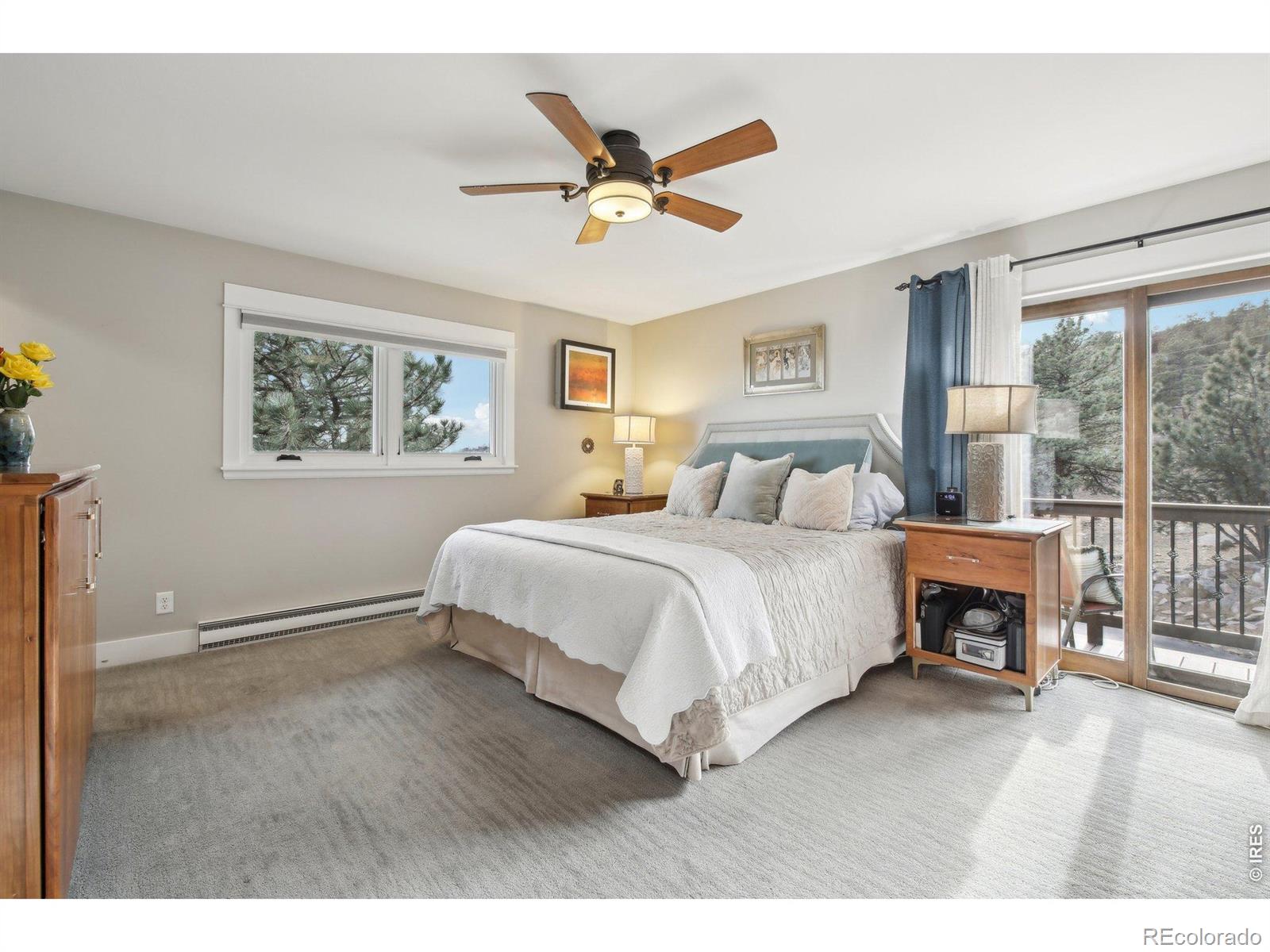 MLS #RECIR1055778 image #22