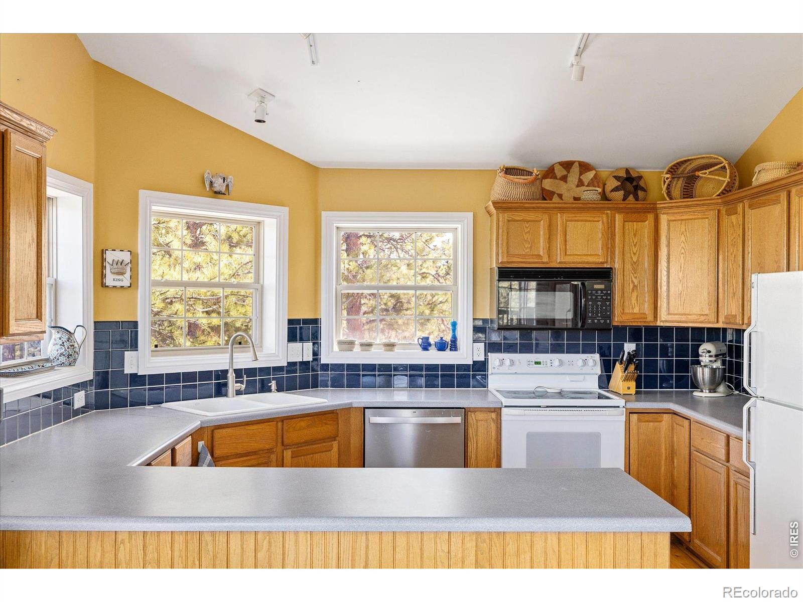 MLS #RECIR1055976 image #11