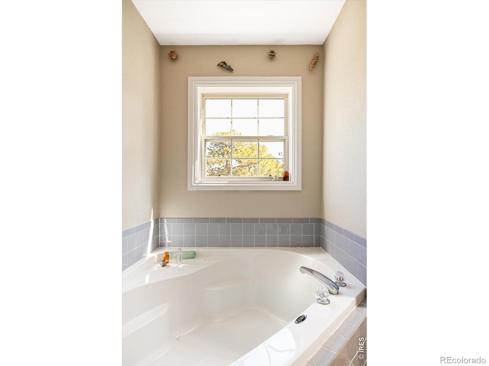 MLS #RECIR1055976 image #19
