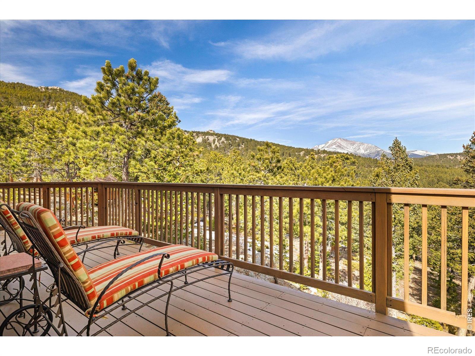 MLS #RECIR1055976 image #28