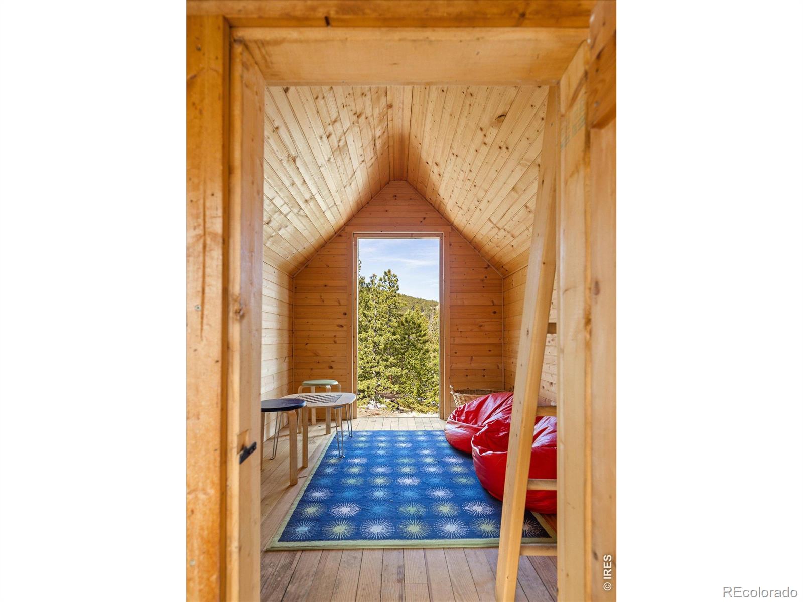 MLS #RECIR1055976 image #33
