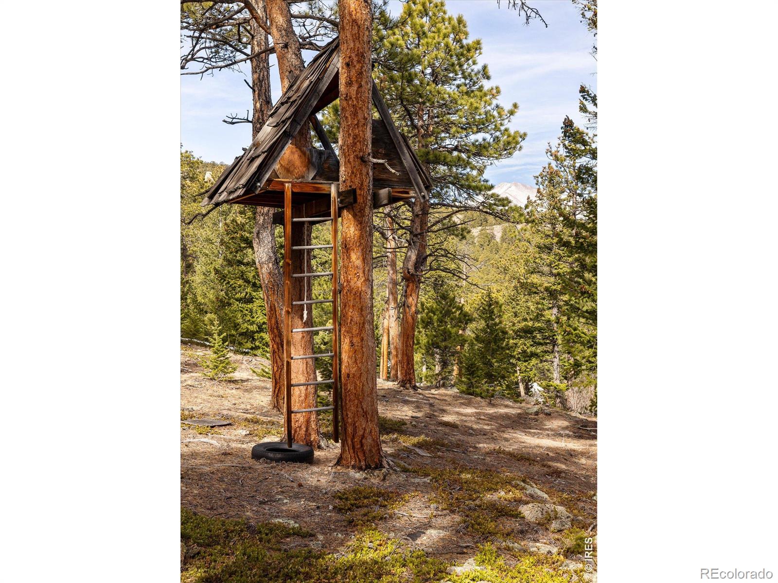 MLS #RECIR1055976 image #35