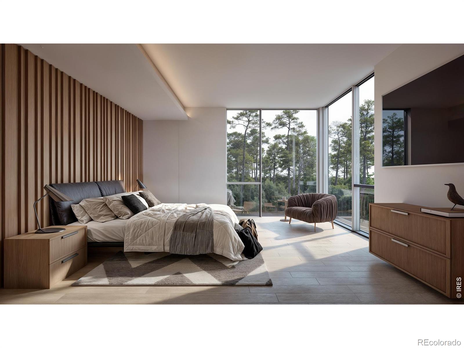 MLS #RECIR1058002 image #10