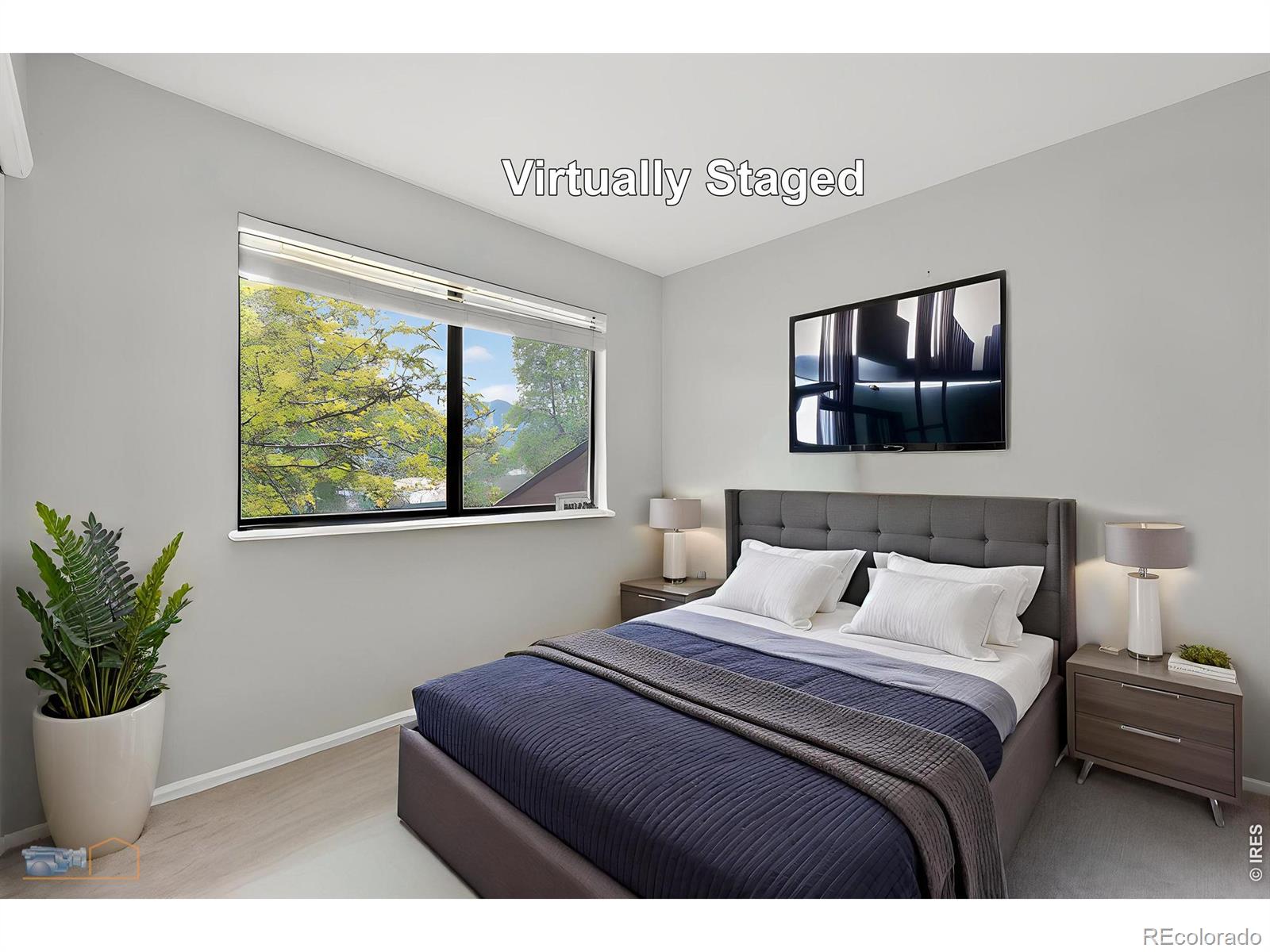 MLS #RECIR1058108 image #33