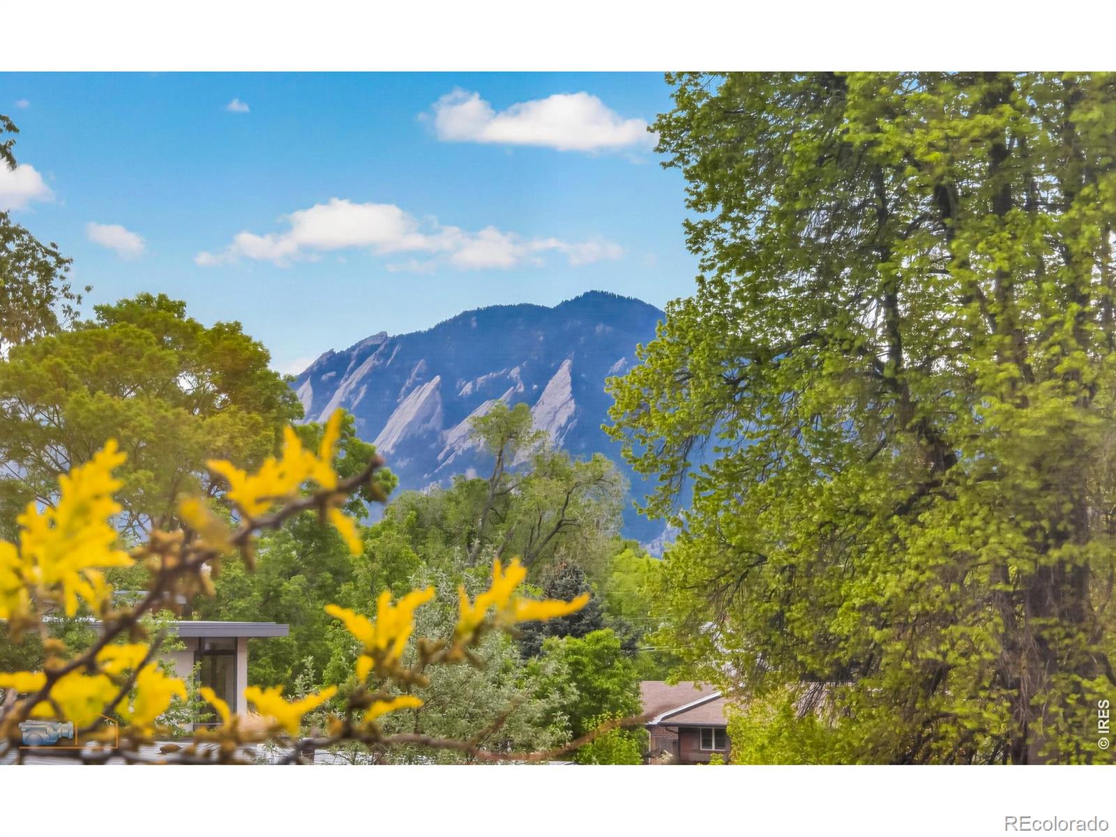 MLS #RECIR1058108 image #34